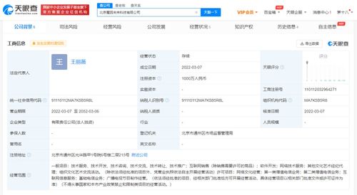 軟件開發與技術服務的雙輪驅動 數字化轉型時代的核心引擎